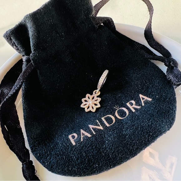 Exquisite Pandora 14K Gold & Sterling 2-Tone Lace Botanique Dangle Charm RARE - Picture 7 of 9